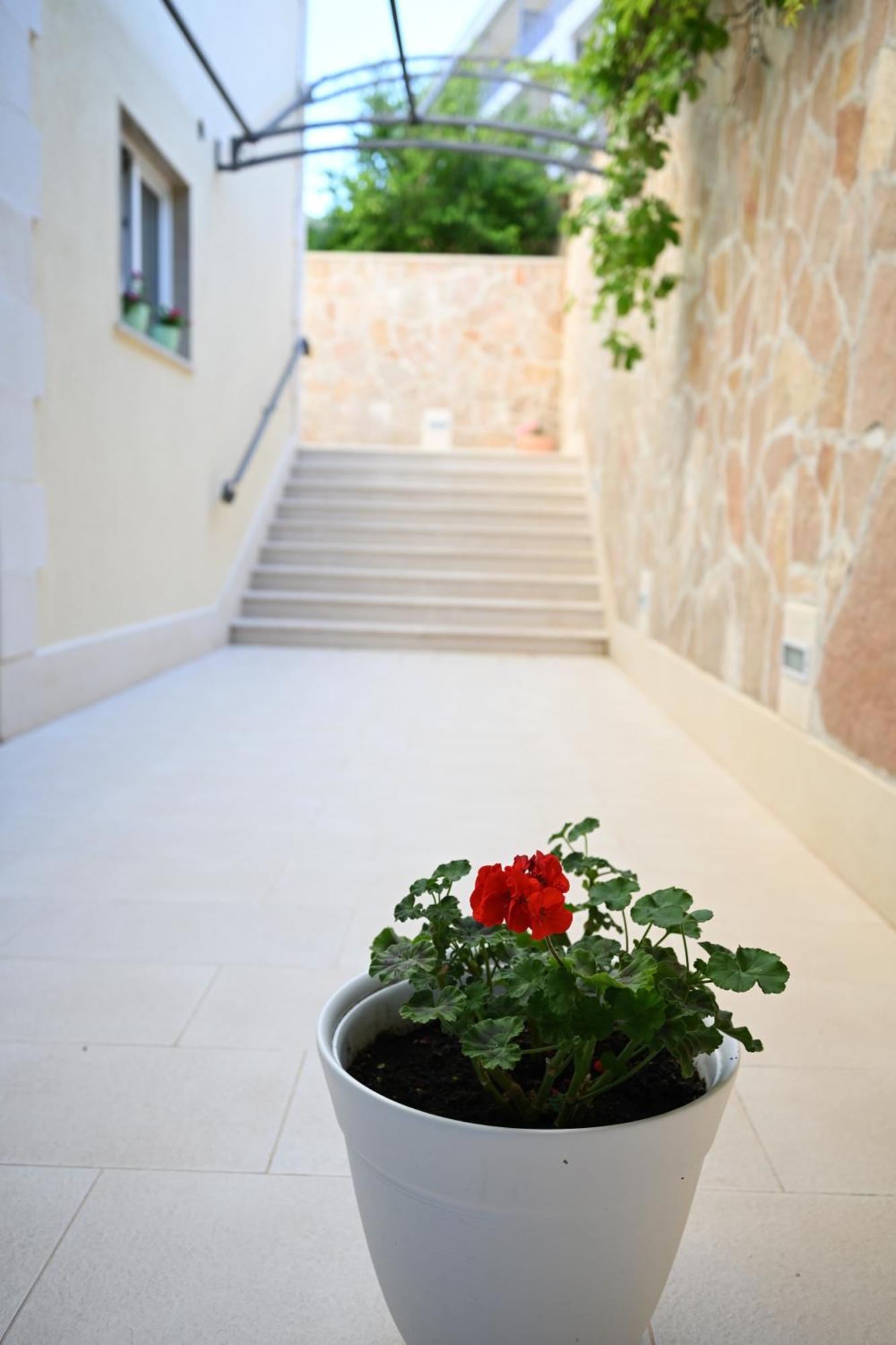 Hvar Villa Malisko Apartments Hvar Town Exteriör bild